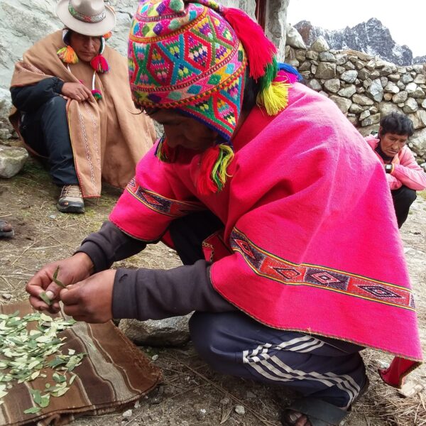 Man's knit hat - coca ceremony